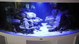 aquarium-von-nandokater-anfaenger-malawi-vision-450_Endlich befüllt