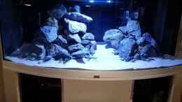 aquarium-von-nandokater-anfaenger-malawi-vision-450_Neueinrichtung