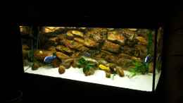 aquarium-von-thomas-fricke-becken-3408_Malawi 540 Liter