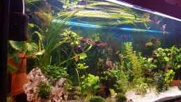 aquarium-von-aquarius1988-450-liter_