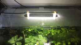aquarium-von-danny-froschwelten_LED-Beleuchtung