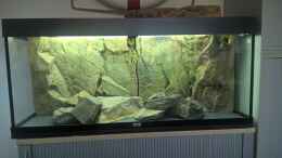 aquarium-von-frank-furt-juwel-rio240-mit-btn-rueckwand-und-eheim-2078_Boden mit PVC geschützt