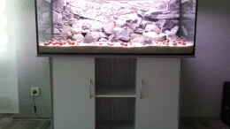 aquarium-von-sheka-becken-34404_Tanganjik