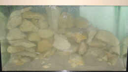 aquarium-von-rhauk-becken-3452_Nach dem Einrichten von Sand, Steinen und Wasser