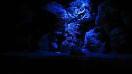 aquarium-von-michael-leist-becken-3461_Mondlicht im Tanganjika Becken