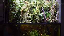 aquarium-von-junglist-flussufer-des-riacho-dos-macacos_04.04.2020