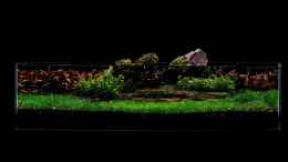 aquarium-von-michael-wette-jurassic-scape_Jurassic Scape