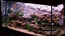 aquarium-von-nicole-schmidt-becken-3611_So, nun neu Eingerichtet. Mehr Steine kommen aber jetzt nich
