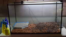 aquarium-von-junglist-yggdrasil_Gestell aus Lichtstegplatten um Material zu sparen