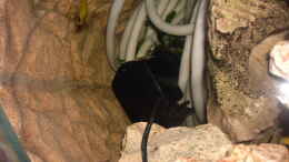 aquarium-von-heiko-schrandt-becken-3694_Strömungspumpe hinterm Heizkreis in der hinteren Beckenecke