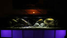 aquarium-von-florian-bandhauer-malawi-guru-becken-3-0_Becken frontal, dazu ist der Unterbau mittels RGBs in versch