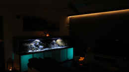 aquarium-von-florian-bandhauer-malawi-guru-becken-3-0_Gesamt Ansicht 