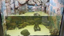 aquarium-von-8-cbm-8m3-tanganjika-biotop_Die Scheibe hält :-)