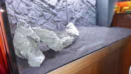 aquarium-von-achimsaar-juwel-rio-350-led-schritt-fuer-schritt-von-achim_Einbringen der ersten Steine