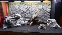 aquarium-von-achimsaar-juwel-rio-350-led-schritt-fuer-schritt-von-achim_Aufbau des hinteren Felsen und den Laichhölen (unter der Wu