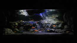 aquarium-von-daniel-k--malawi-hoehle_