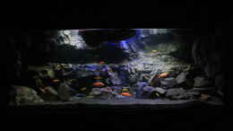 aquarium-von-daniel-k--malawi-hoehle_
