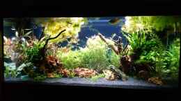 aquarium-von-wasserwelten-ruheoase-mit-lichtung_