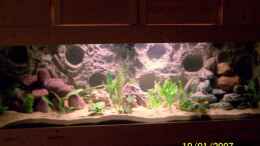 aquarium-von-m-becken-3860_Nur mit Pflanzenlicht beleuchtet!