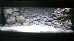 aquarium-von-aquamichel-becken-3869_Rückwand mit Wasser und Aufbauten