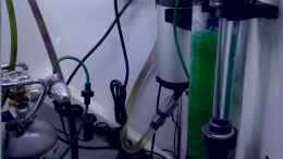 aquarium-von-lance-hardwood-nanozonas_2kg-Flasche CO2 mit Einwaschanlage vorne rechts und UVC-Klä