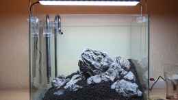 aquarium-von-x-rayminator-mein-erstes-aquascape_Nun kommt das Soil
