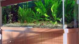 aquarium-von-jeaw70-becken-4018_