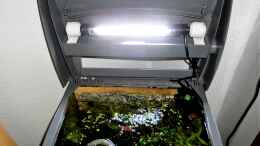 aquarium-von-odin-68-mein-kleines-garnelen-becken-aufgeloest_LED im eingebauten zustand.
