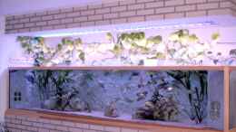 aquarium-von-wolfgang-schlader-becken-406_Aufzuchtbecken 300x70x60cm