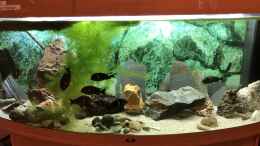 aquarium-von-helga-kury-tropheus-maswa---becken-neu_Das Becken steht seit 2003 oder 2004 bei mir... Juwel ist ei