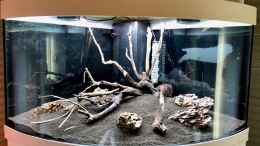aquarium-von-sergio-bandeiras-bepflantztes-eckaquarium_Hardscape, Talawa mit Dragonstone