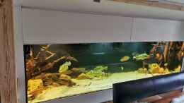 aquarium-von-fritz-gartner-amazonas-4500l_