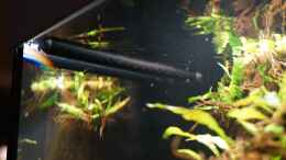 aquarium-von-jonas-b--amazonas-biotop_Filtereinlauf aus schwarzen Polycarbonatrohr von unter Wasse