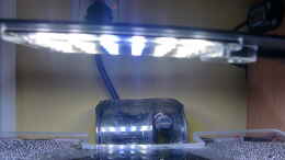 aquarium-von-hotu-garnelenkiste-neu-gemacht-nur-noch-als-beispiel_LED Lampe