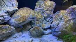 aquarium-von-jean-paul-ambord-malawi-reef-2-0_River Stones