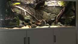 aquarium-von-rubens-rubens039--mittelamerika---575-liter_Ansicht Mai 2020