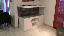 aquarium-von-rubens-rubens039--mittelamerika---575-liter_Ansicht leer