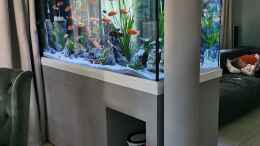 aquarium-von-ezi13-tanganjika-raumteiler_Aquarium als Raumteiler zwischen Ess- und Wohnbereich