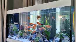 aquarium-von-ezi13-tanganjika-raumteiler_Linke Seite 