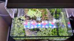 aquarium-von-marco-b--groot_Oben mit RGB