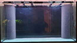 aquarium-von-ravaka-unterspueltes-steilufer-am-rio-nanay-aufgeloest_Nov 20 - HMF in den Ecken mit 80 cm Höhe