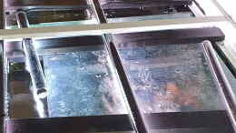 aquarium-von-ravaka-unterspueltes-steilufer-am-rio-nanay-aufgeloest_Dez 20 - LED-Leuchten von Sera