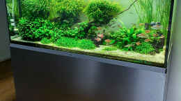 Foto mit Aquarium Hauptansicht von Fluval Profile 1500 Kundenaquarium