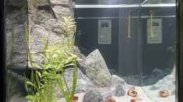 aquarium-von-daniel-martick-eheim-vivaline-150_Seitenansicht 