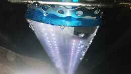 aquarium-von-odonata-scheibenwelt_Befestigung der LED-Lampen im Gehäuse mit Edelstahl-Gewinde