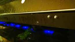 aquarium-von-odonata-scheibenwelt_Die Gewindestangen halten mit Lochband die LEDs an Ort und S