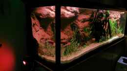 aquarium-von-odonata-scheibenwelt_Sunset im Aquarium - die ??nderung in Farbe und Lichtintensi