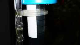 aquarium-von-odonata-scheibenwelt_pH-Sonde mit Deckel in CO2-Testflüssigkeit