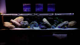 aquarium-von-ralfb-mein-raeubertraum_