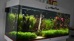 aquarium-von-peter-peter-juwel-rio-180_Juwel Aquarium RIO 180 19.06.2023